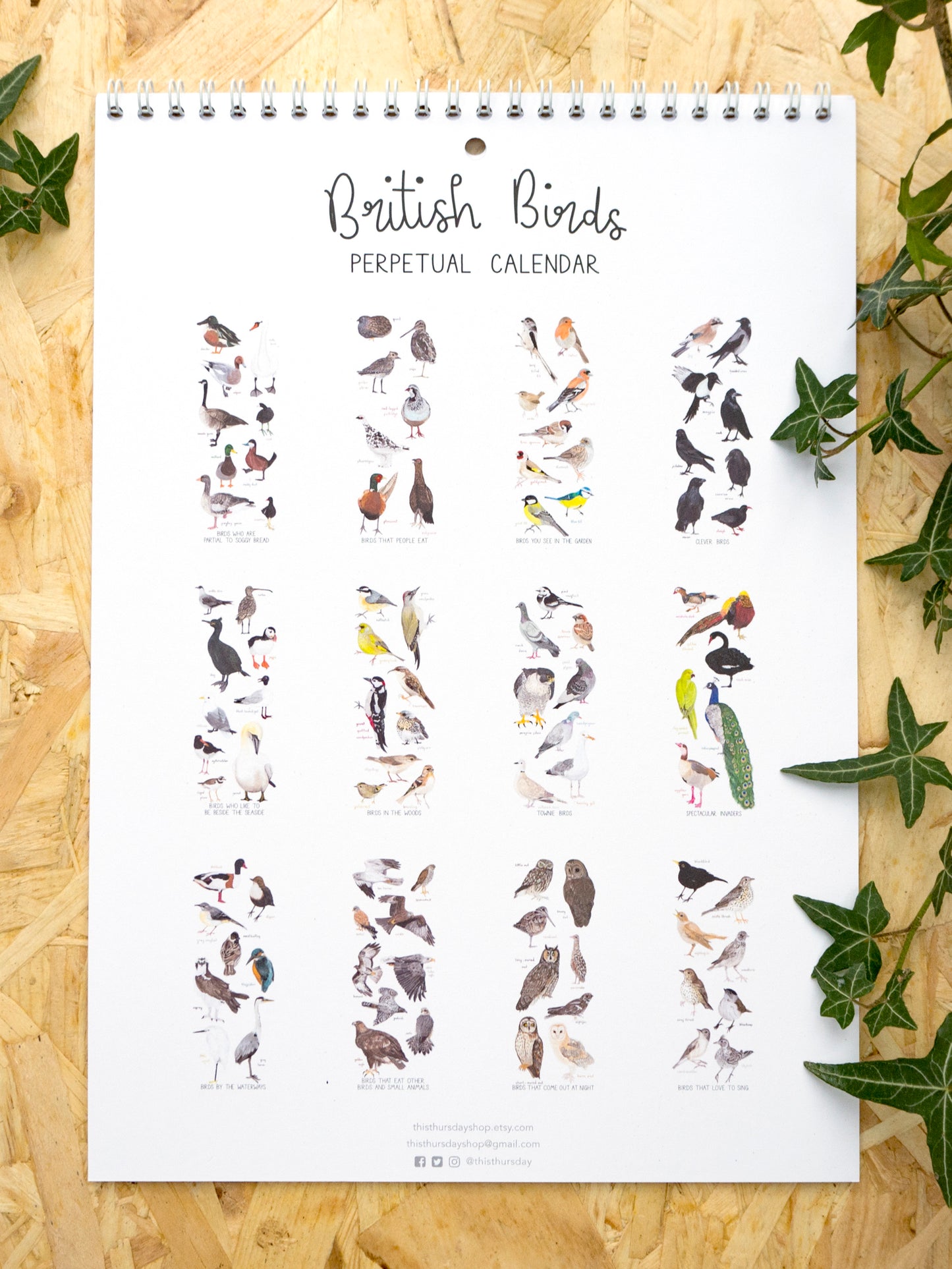 British Birds A4 Perpetual Calendar