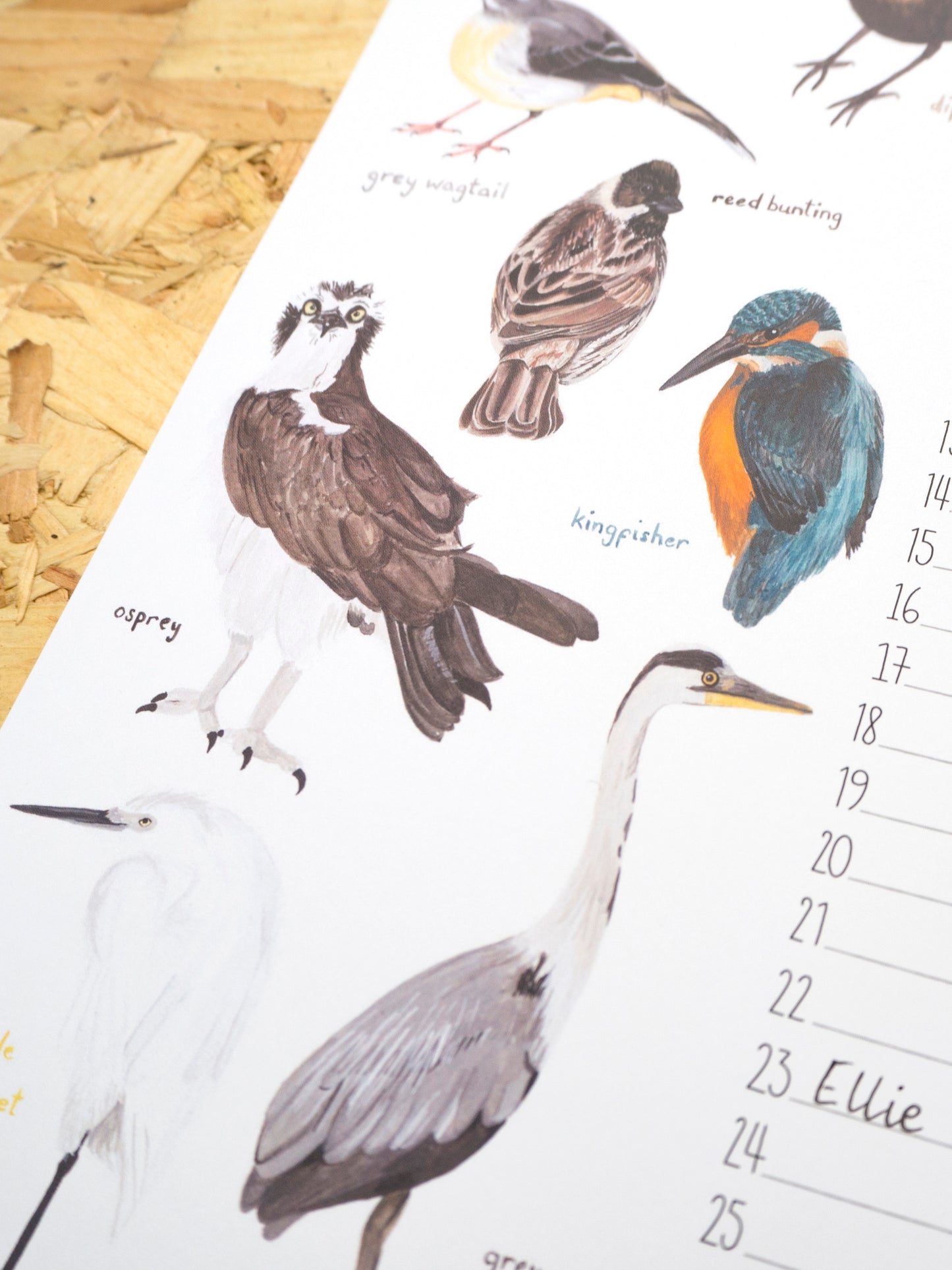 British Birds A4 Perpetual Calendar