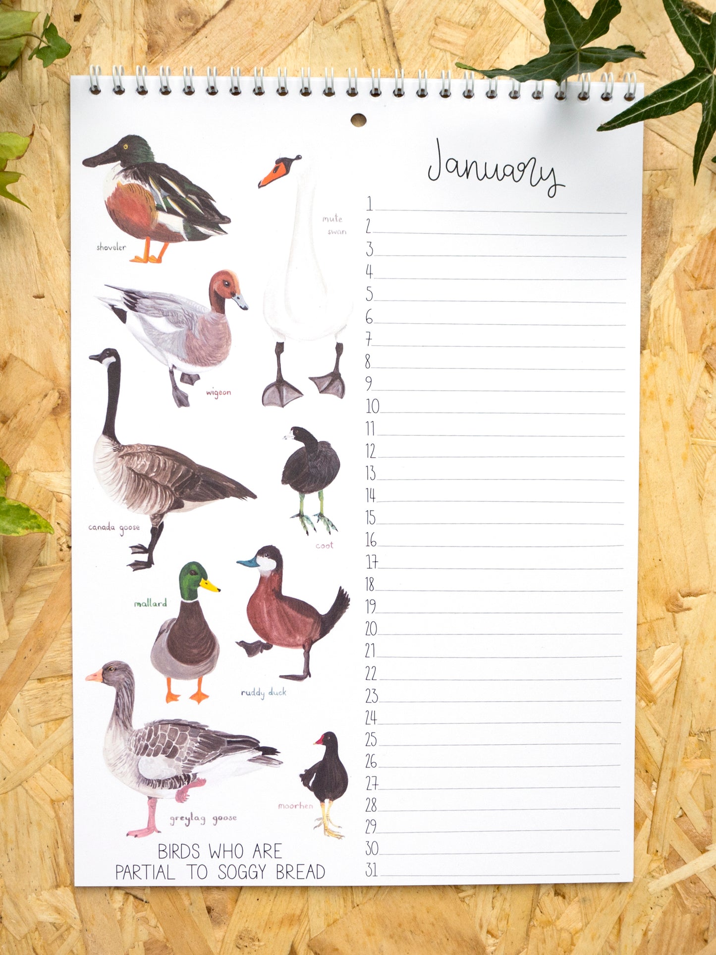 British Birds A4 Perpetual Calendar