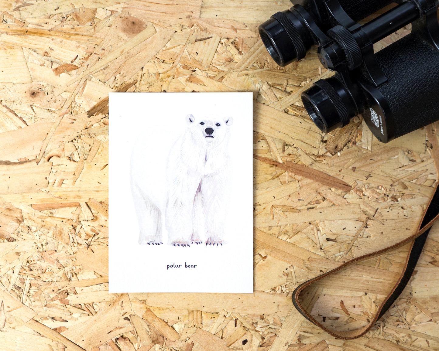 Polar Bear Postcard