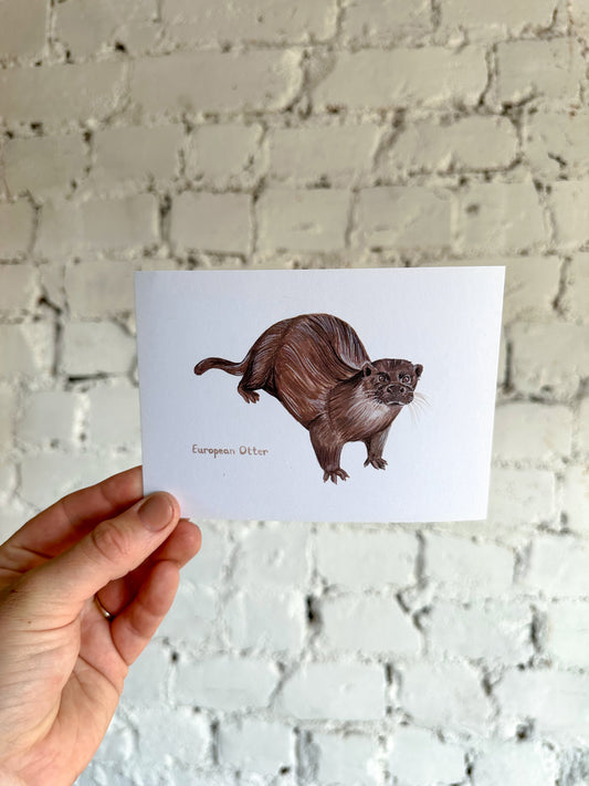 European Otter Postcard