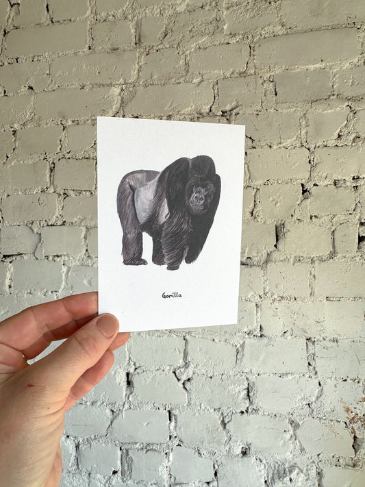 Gorilla Postcard