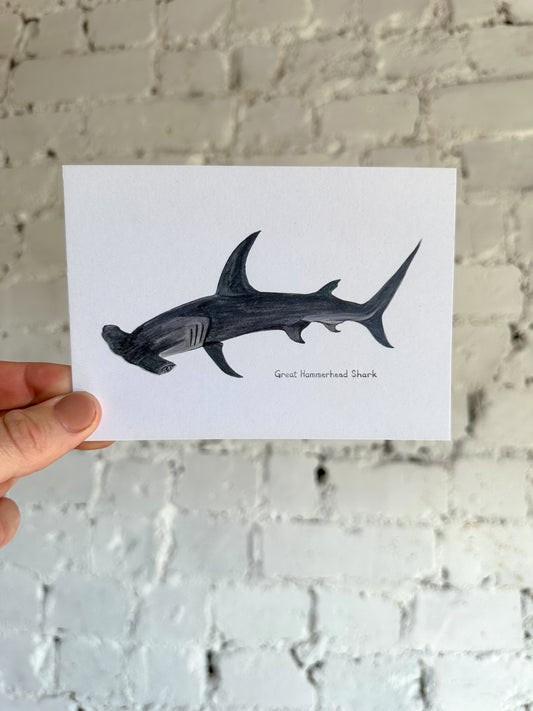 Great Hammerhead Shark Postcard