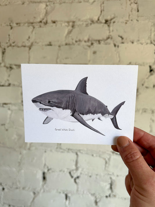 Great White Shark Postcard