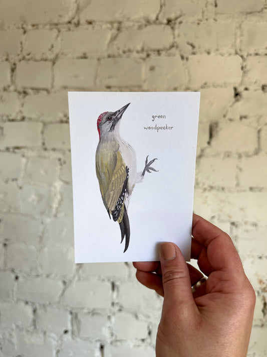 Green Woodpecker Postcard