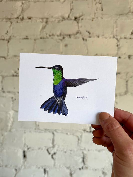 Hummingbird Postcard