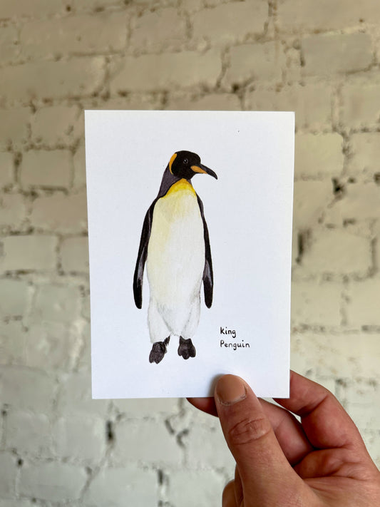 King Penguin Postcard