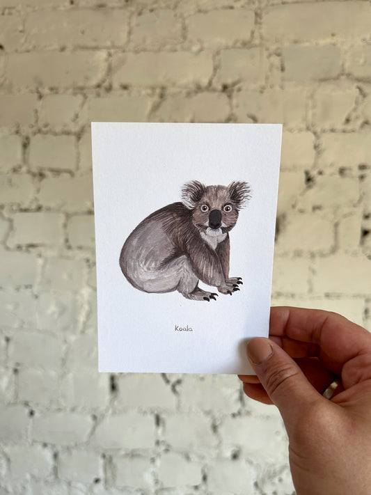 Koala Postcard