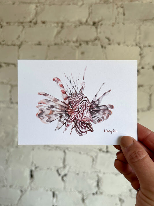 Lionfish Postcard