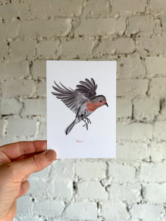 Flying Robin Postcard