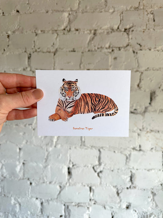 Sumatran Tiger Postcard