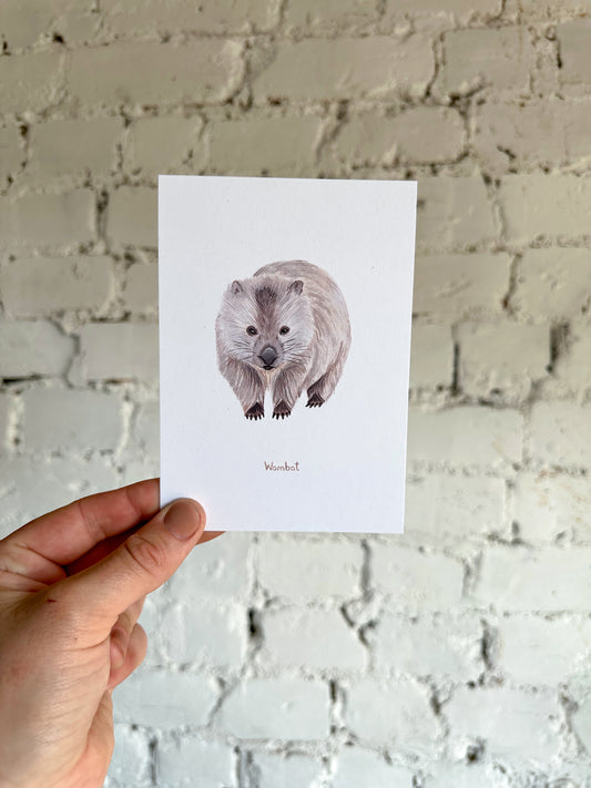Wombat Postcard