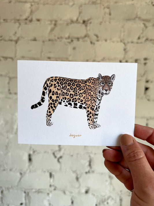 Jaguar Postcard
