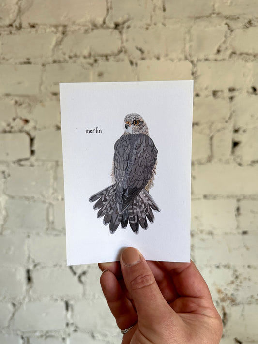 Merlin Postcard