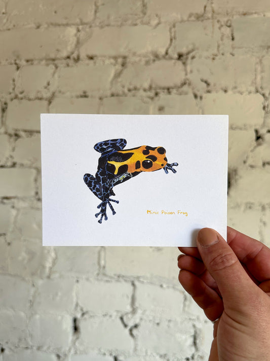 Mimic Poison Frog Postcard