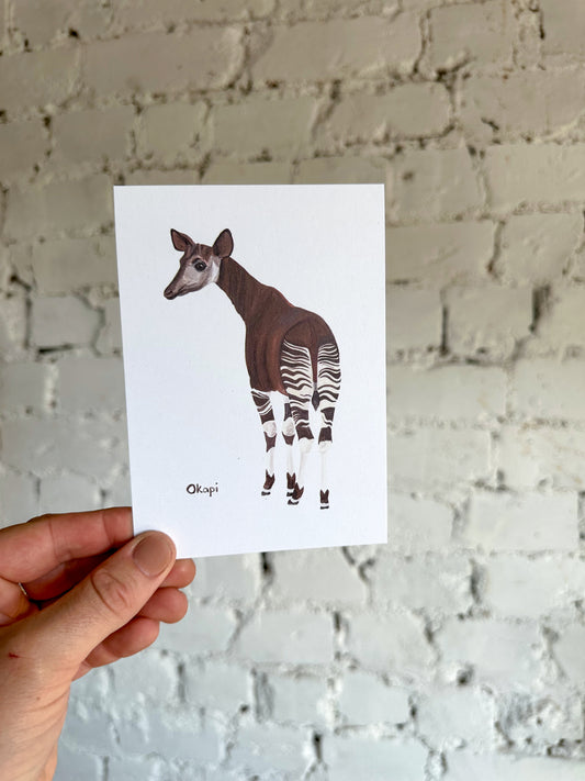 Okapi Postcard