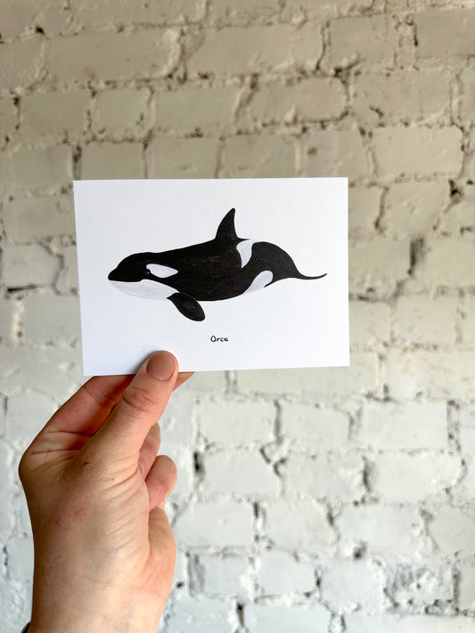 Orca Postcard