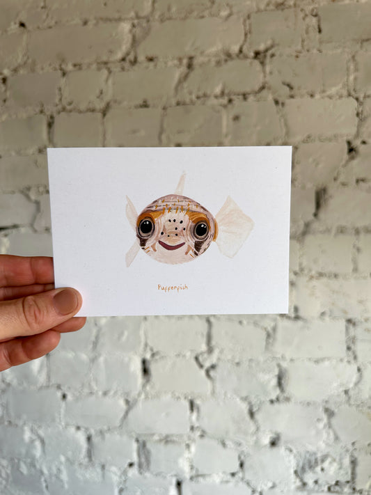 Pufferfish Postcard