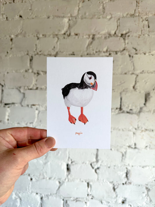 Puffin Postcard