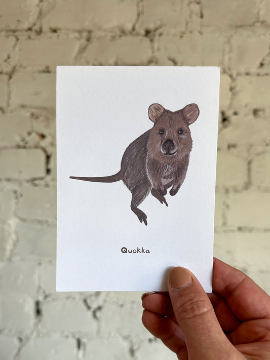 Quokka Postcard