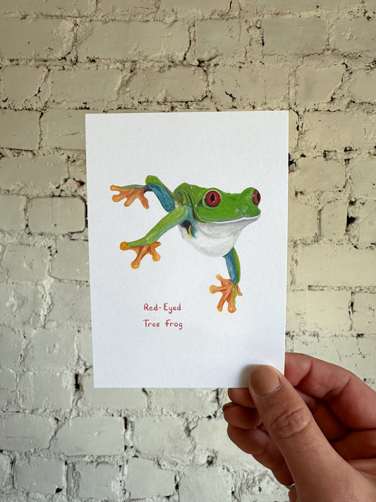 Red-Eyed Tree Frog Postcard