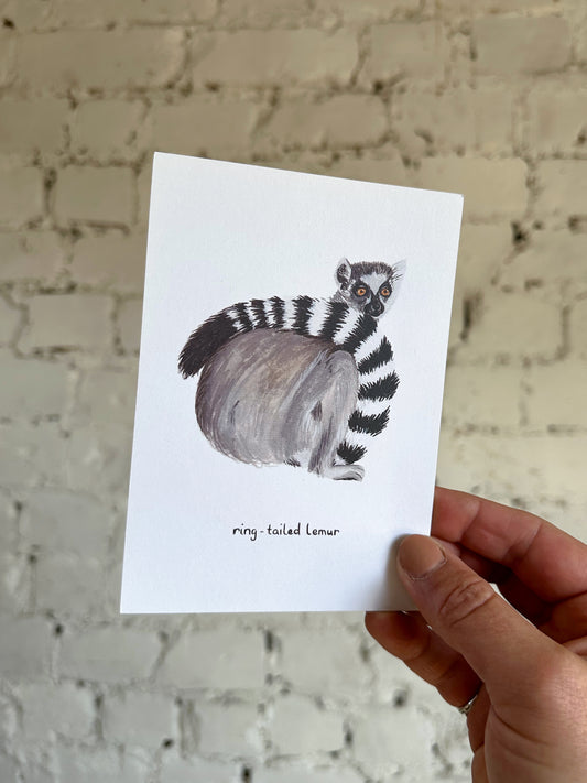 Ring-Tailed Lemur Postcard