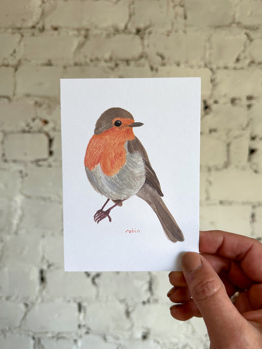 Robin Postcard