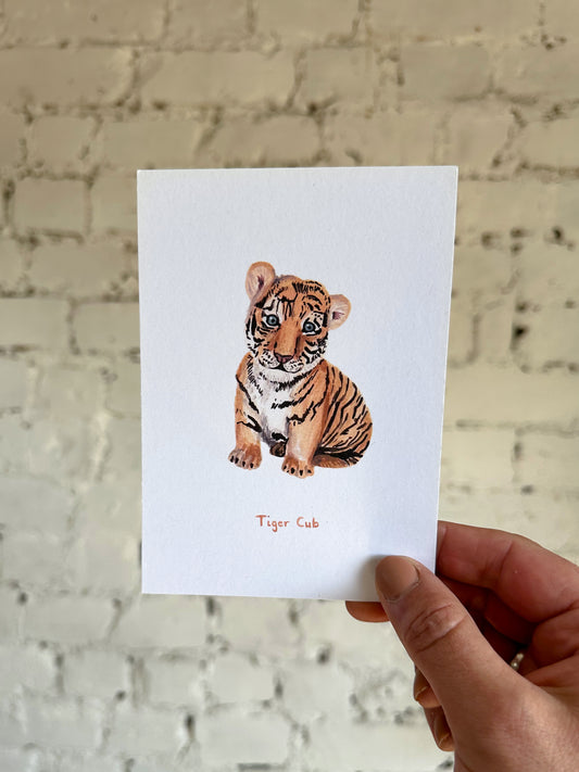 Tiger Cub Postcard