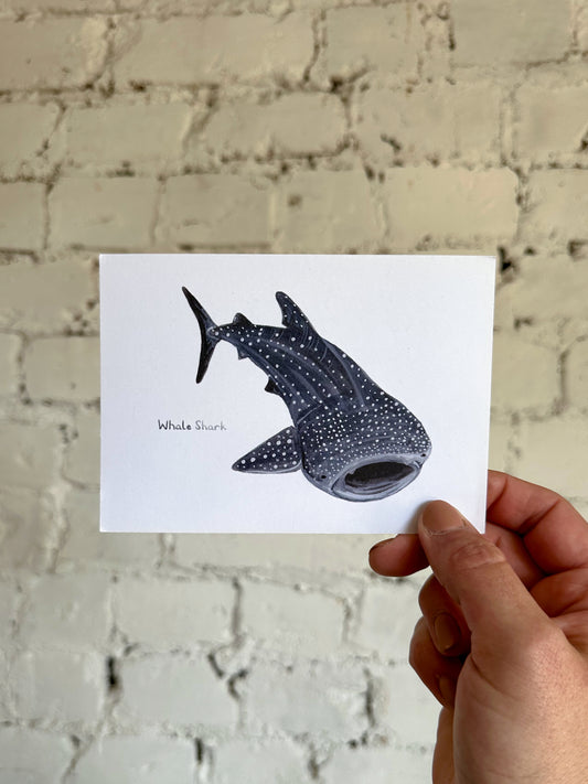 Whale Shark Postcard