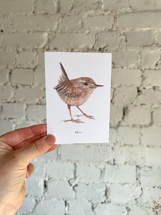 Wren Postcard
