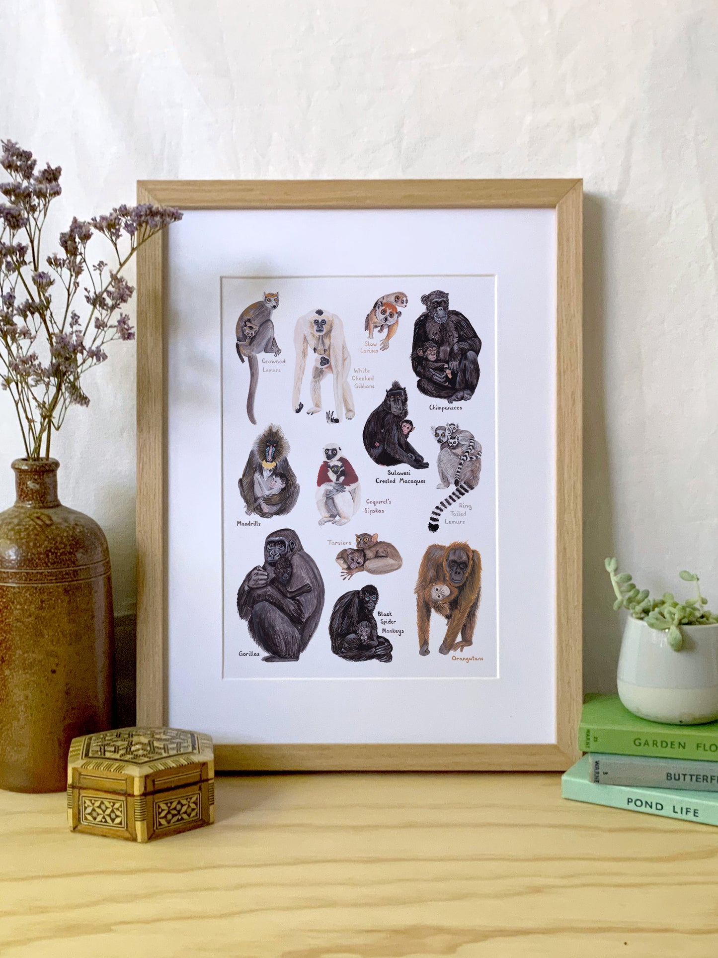 Primate Mothers Print