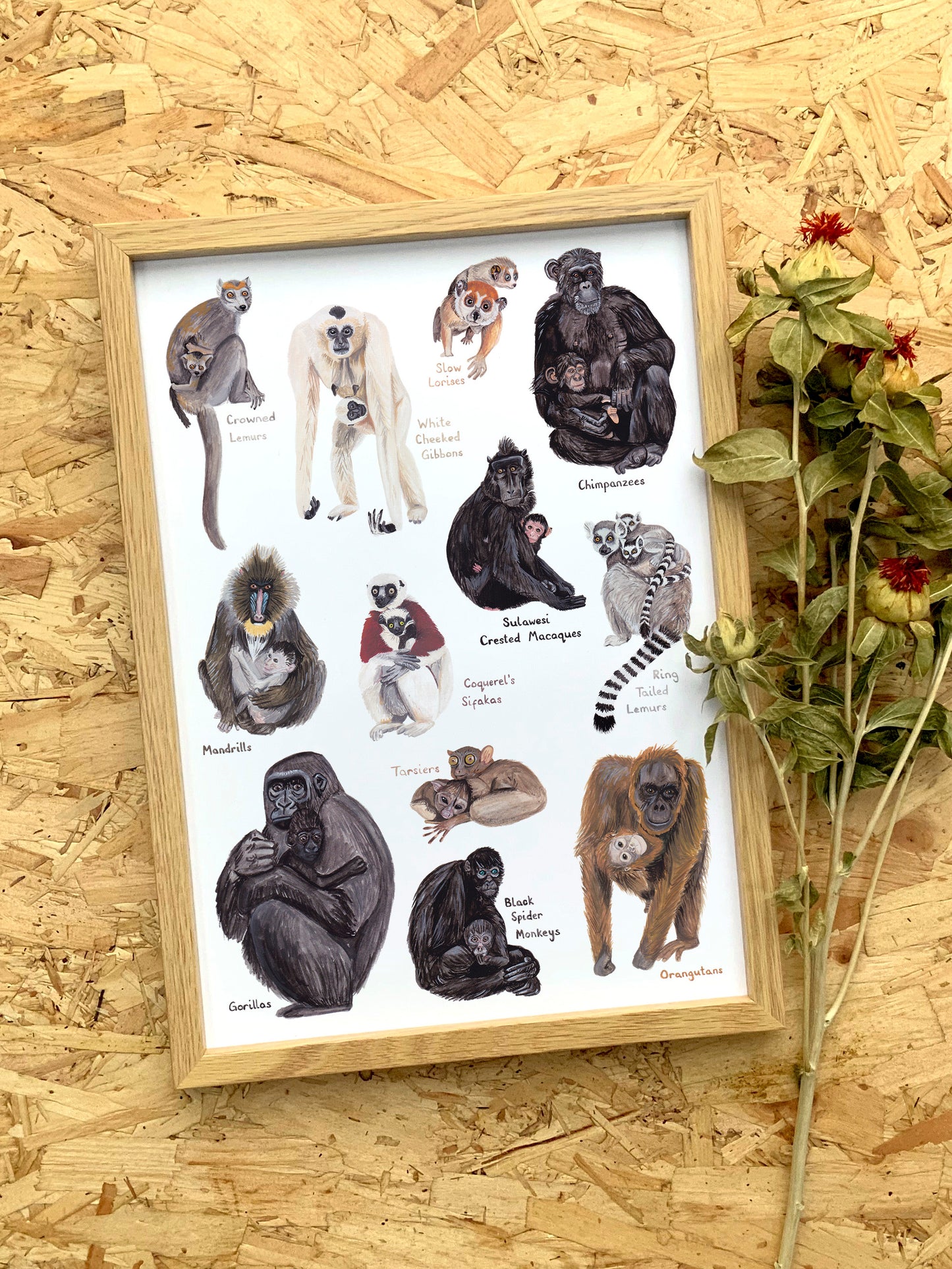 Primate Mothers Print