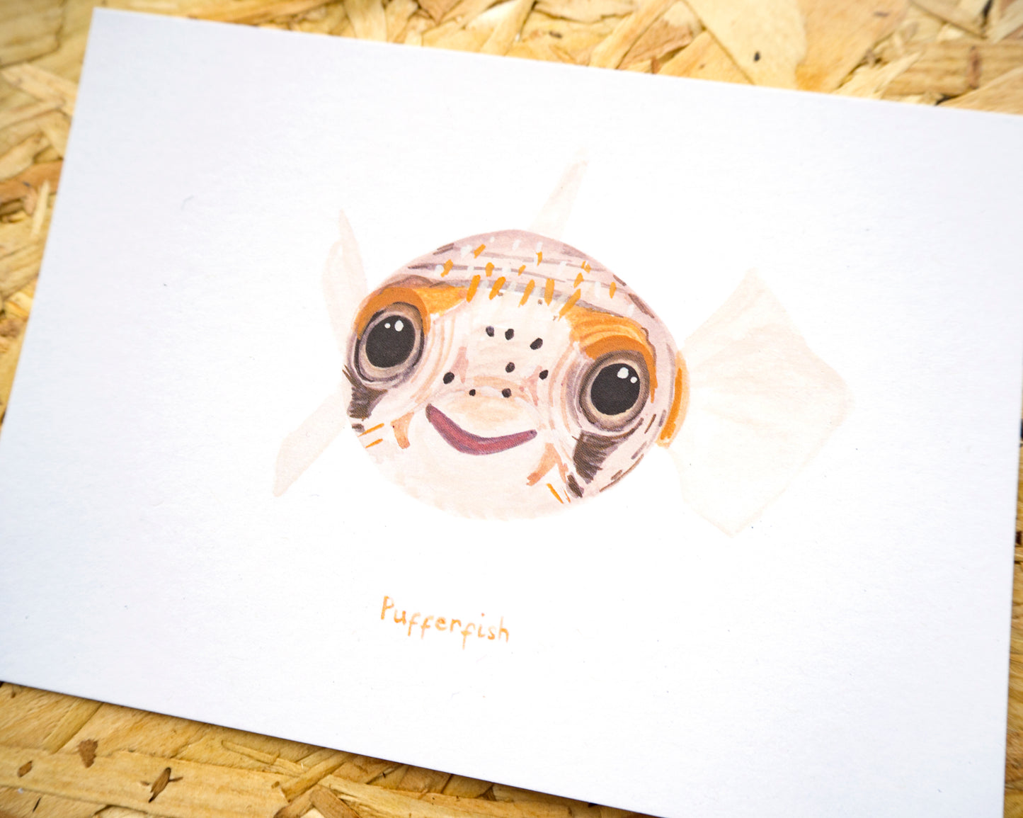 Pufferfish Postcard