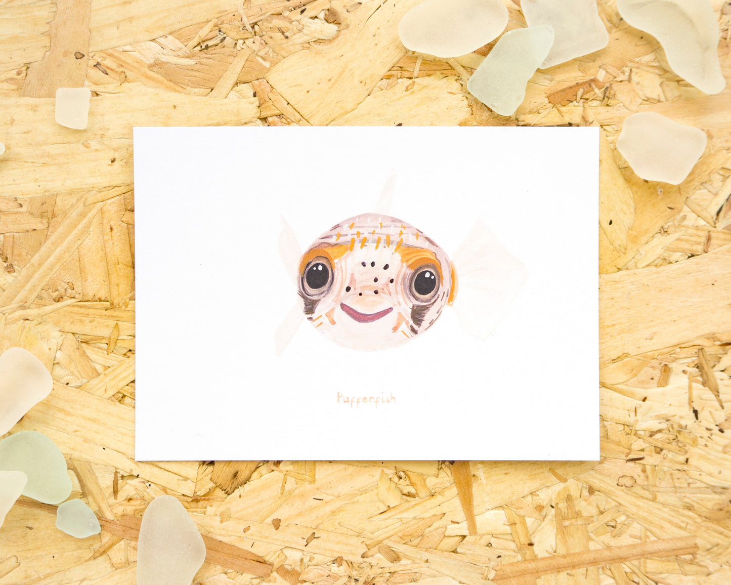 Pufferfish Postcard