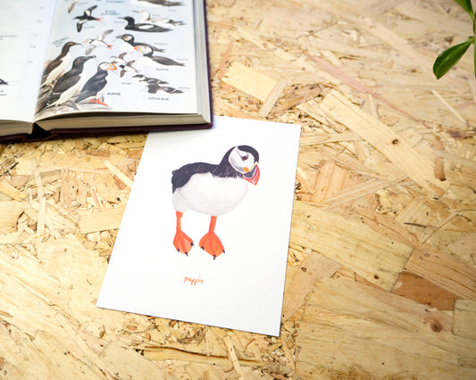 Puffin Postcard