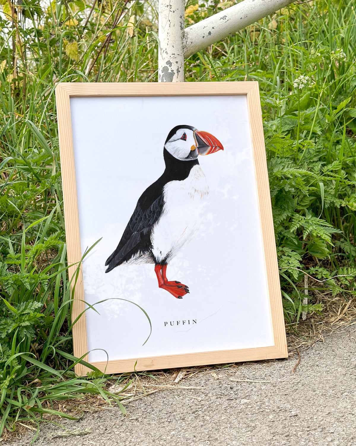 Puffin Art Print