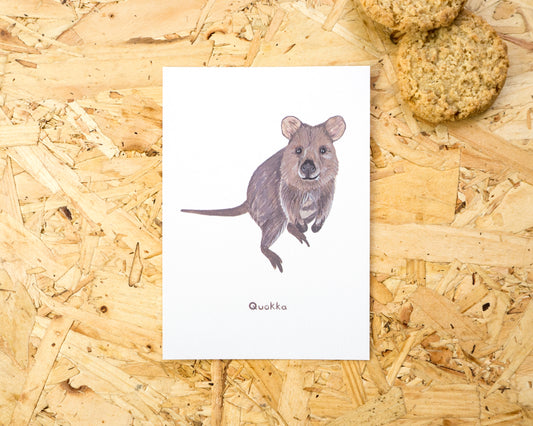 Quokka Postcard