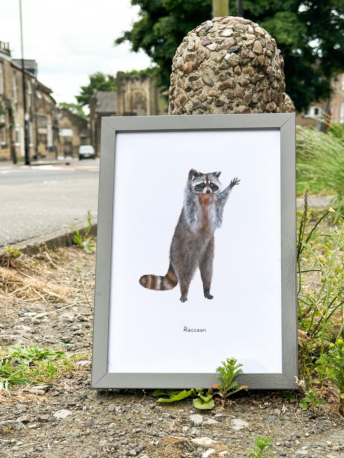 Raccoon Art Print