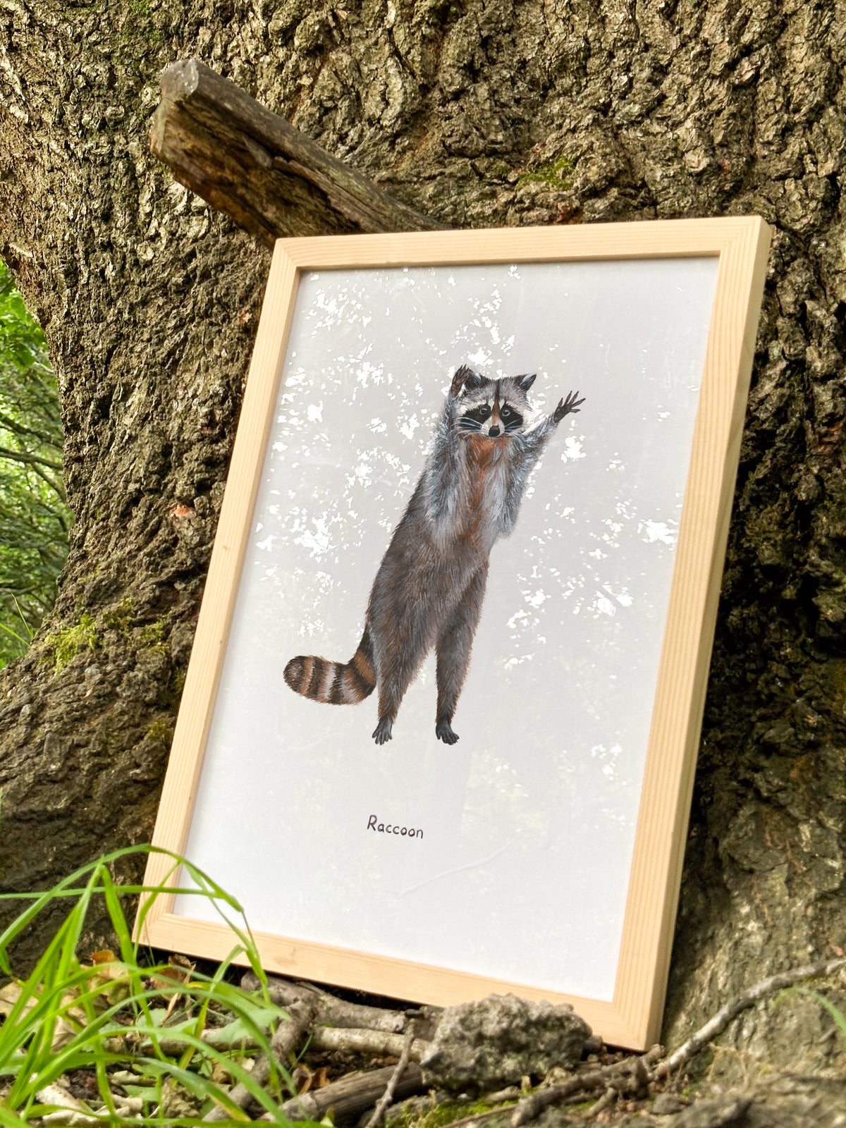 Raccoon Art Print