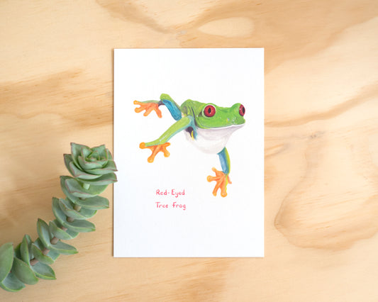 Red-Eyed Tree Frog Postcard