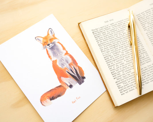 Red Fox Postcard