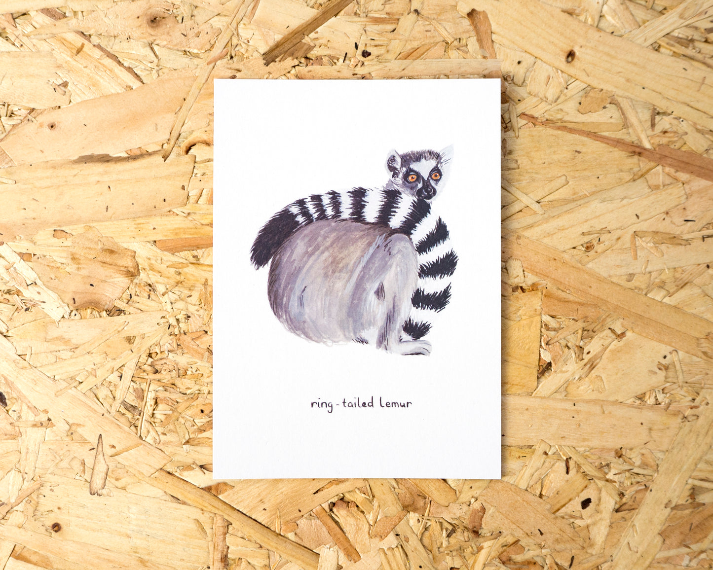 Ring-Tailed Lemur Postcard