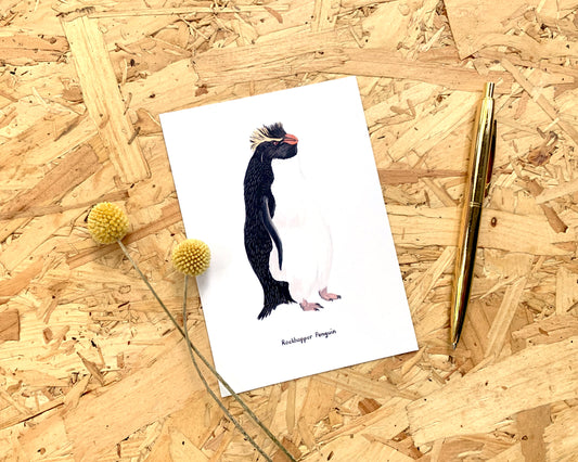 Rockhopper Penguin Postcard