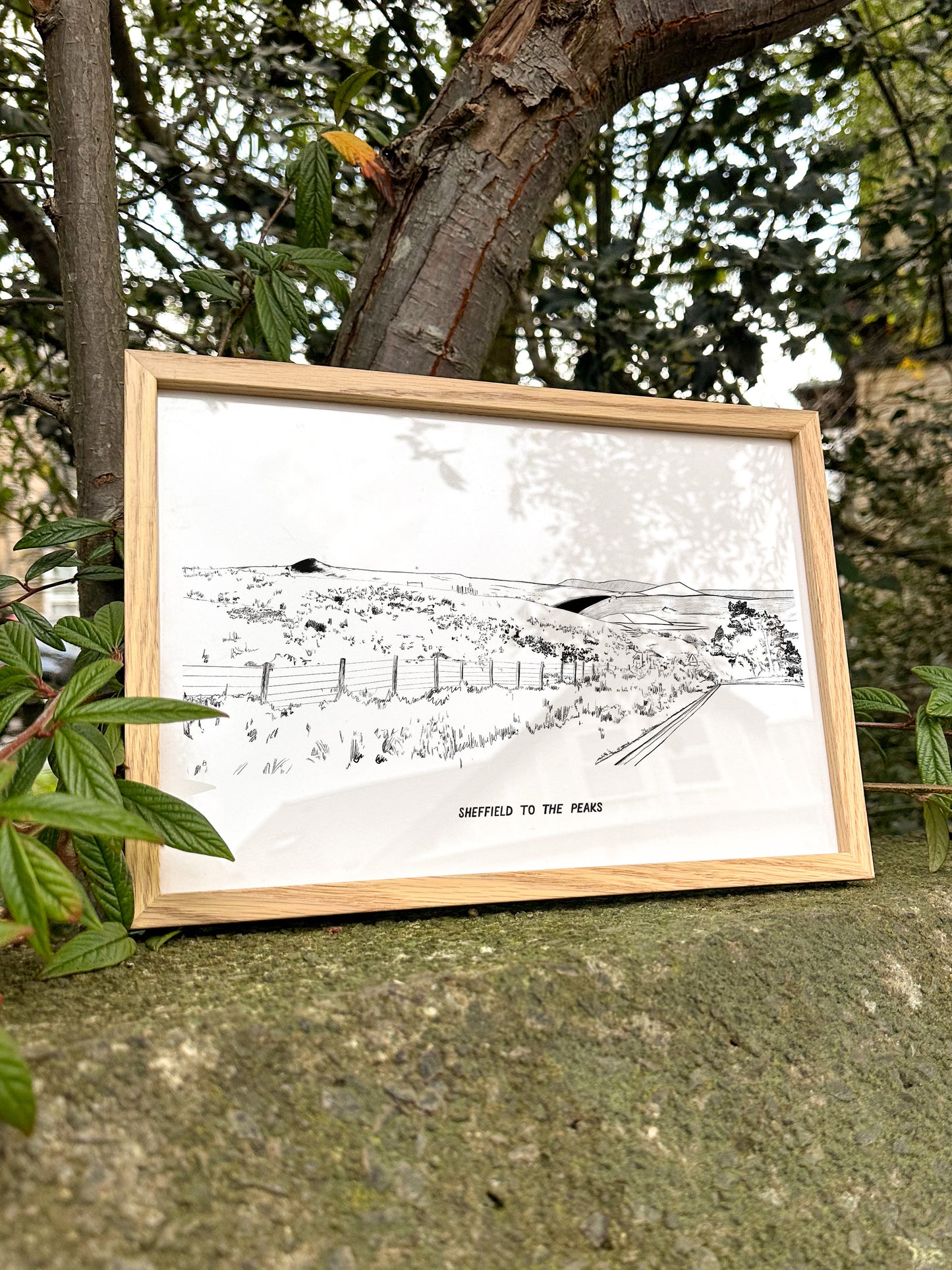 Sheffield to the Peaks Illustration Print