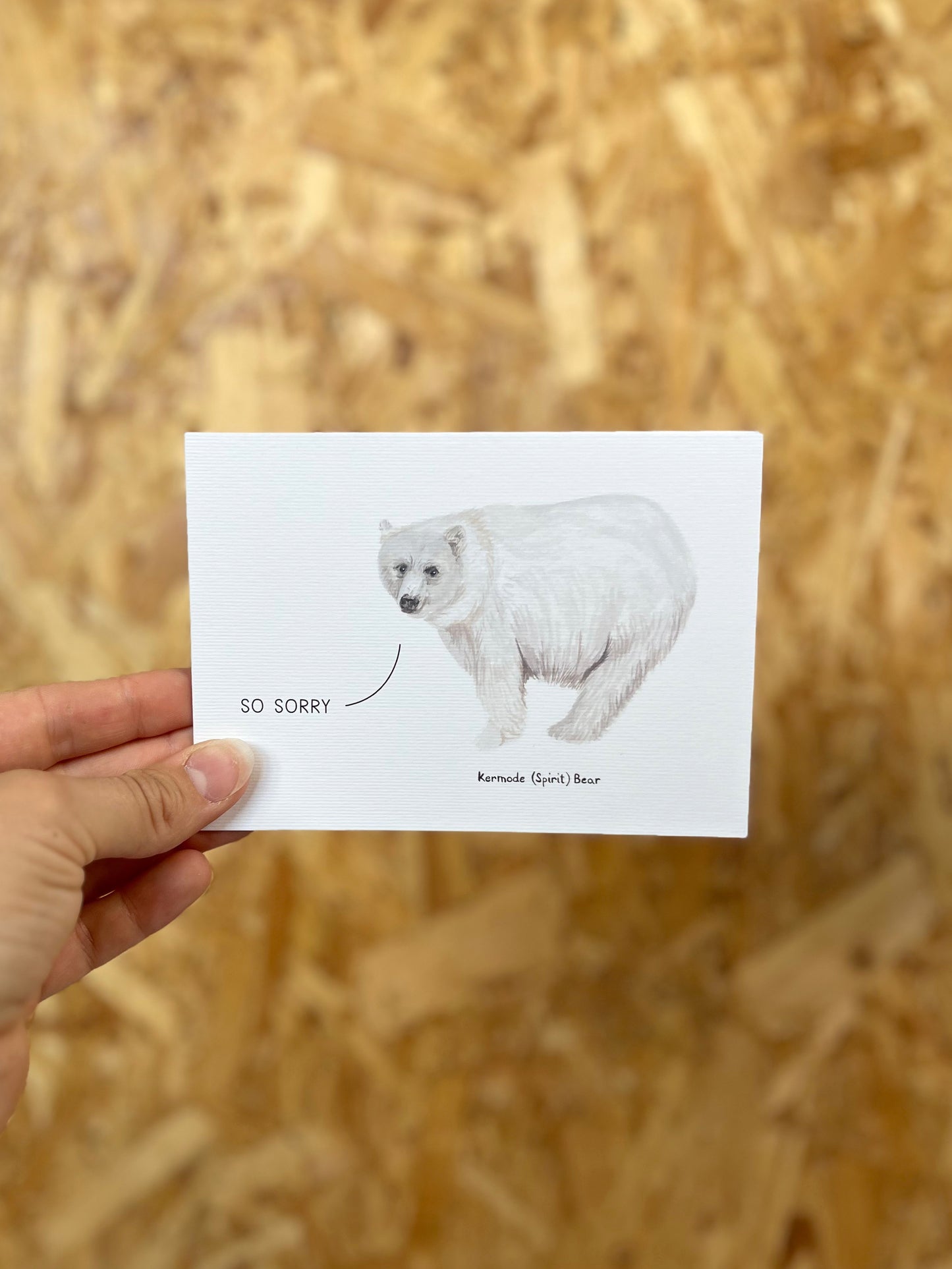 So Sorry Kermode Bear Card