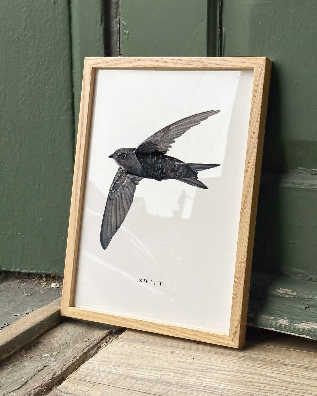 Swift Art Print