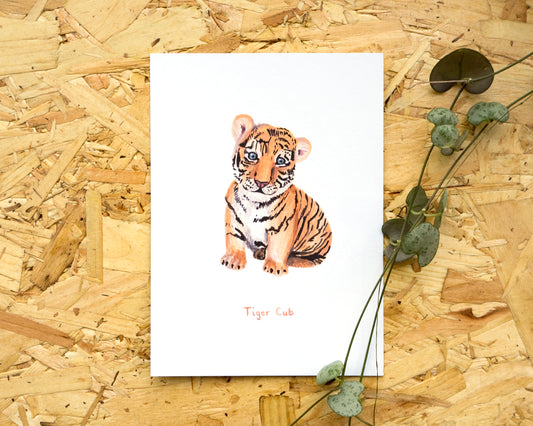 Tiger Cub Postcard