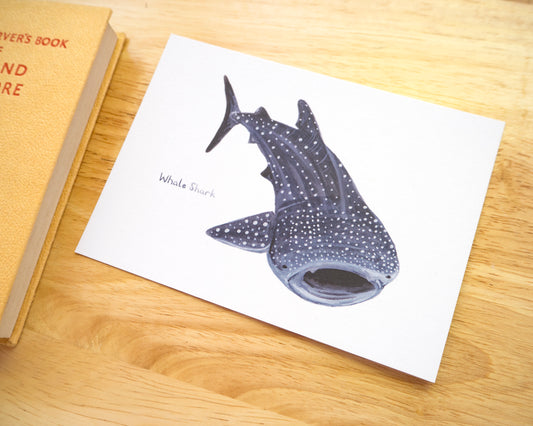 Whale Shark Postcard