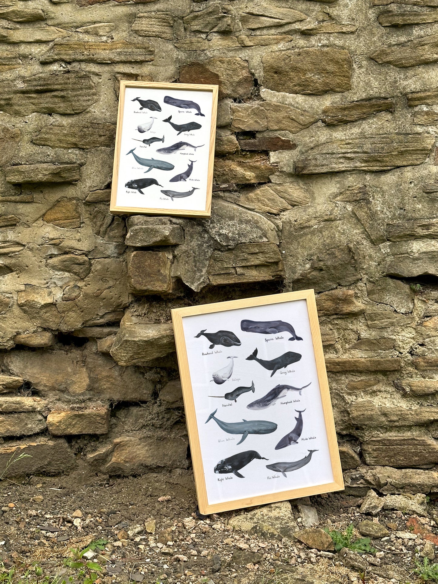 Whales Print