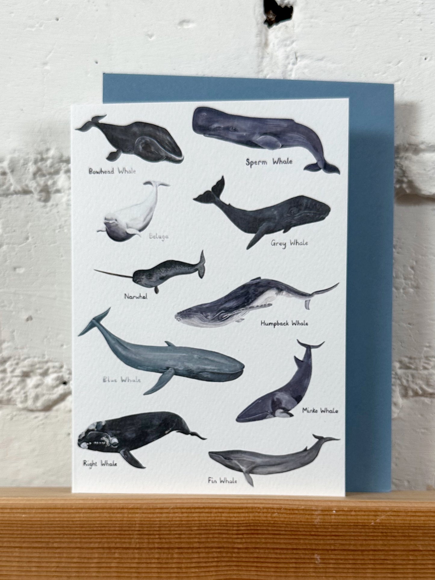 Whales Illustration Card